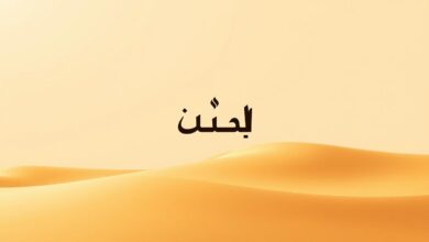 كيفية بناء براند سعودي على شوبيفاي