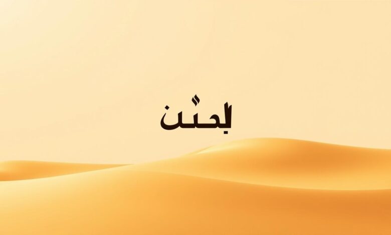 كيفية بناء براند سعودي على شوبيفاي
