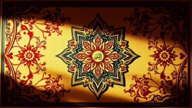 كيفية تخصيص القوالب (Themes) وحل مشاكل التوافق مع العربية